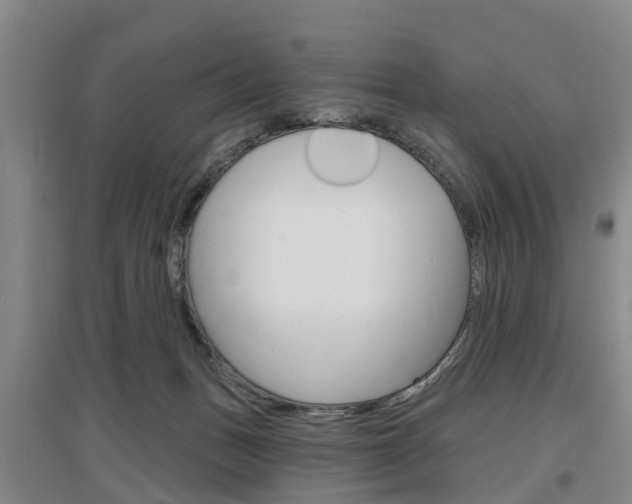 X0000097470175200802220837