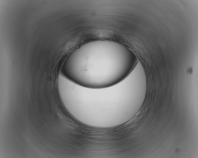 X0000097470176200802220837