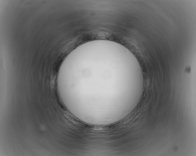 X0000097470177200802220837