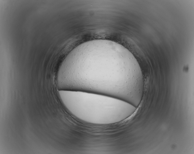 X0000097470178200802220837