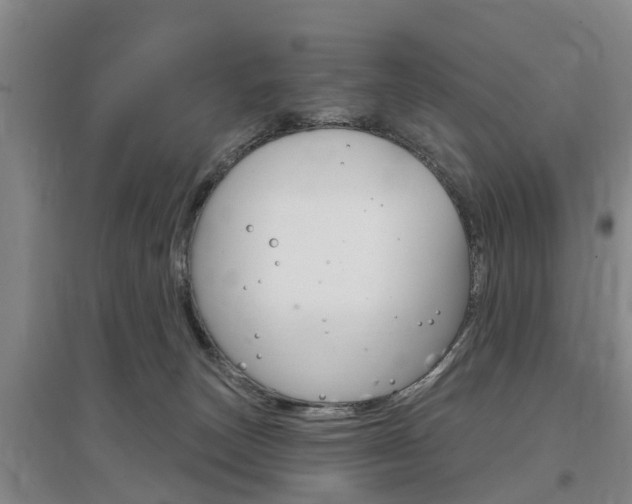 X0000097470179200802220837