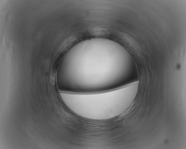 X0000097470180200802220837