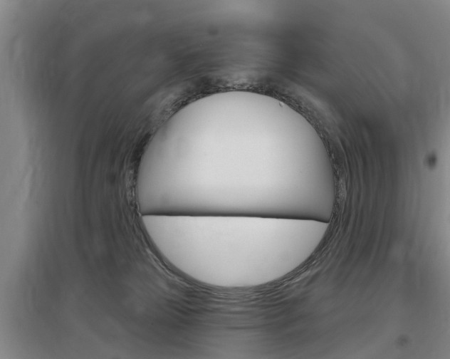 X0000097470181200802220837