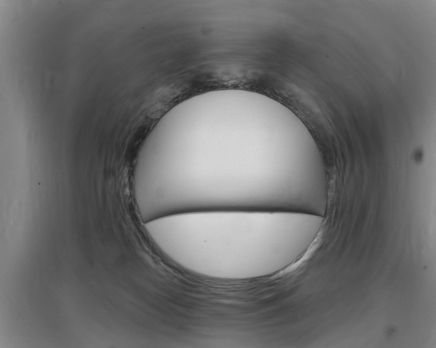 X0000097470182200802220837