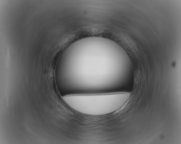 X0000097470184200802220837