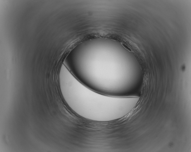 X0000097470188200802220837