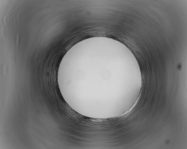 X0000097470190200802220837