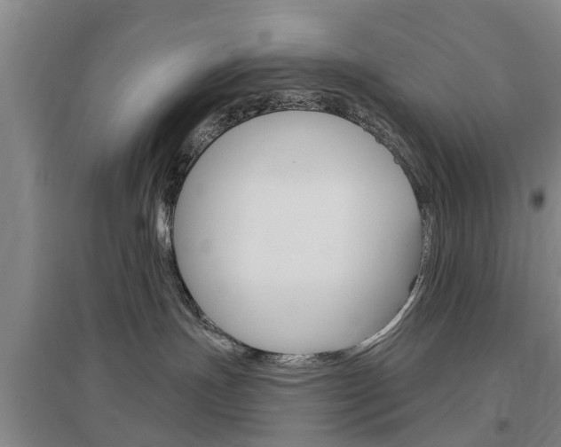X0000097470191200802220837