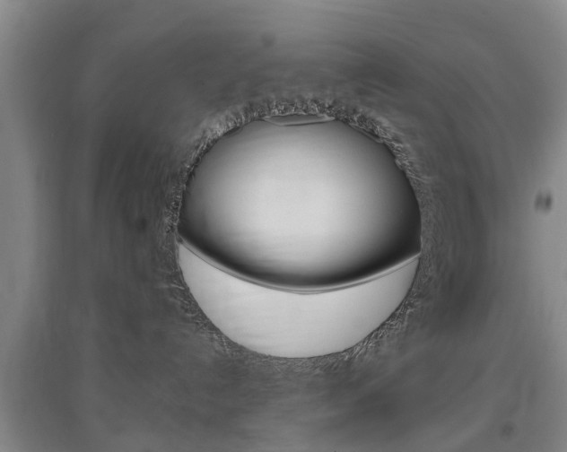 X0000097470192200802220837
