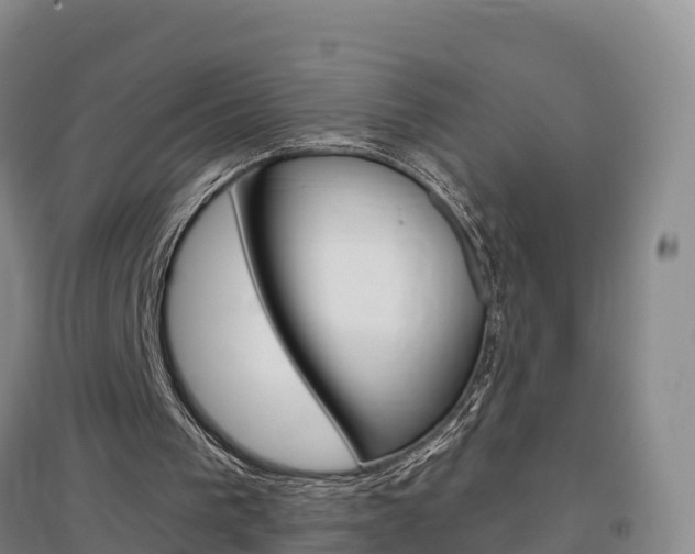 X0000097470193200802220837