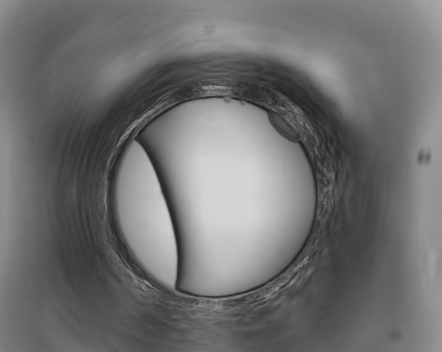X0000097470194200802220837