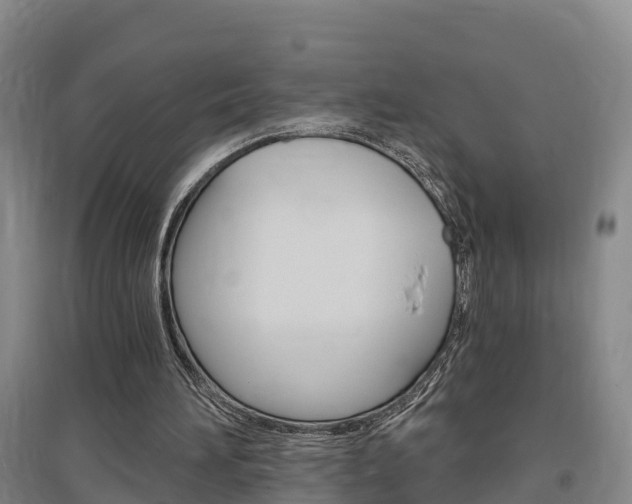 X0000097470196200802220837