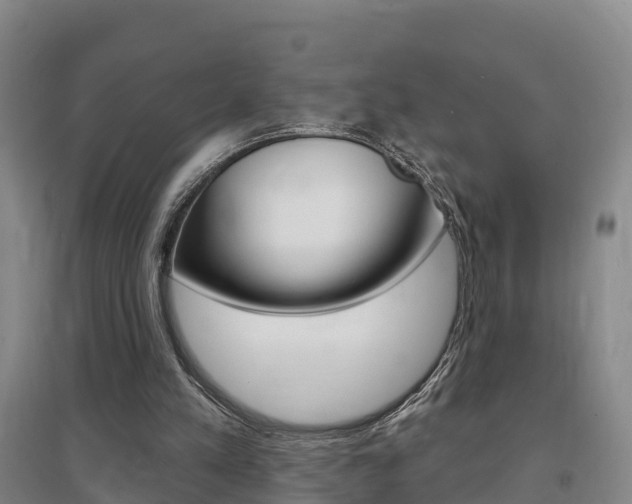 X0000097470197200802220837
