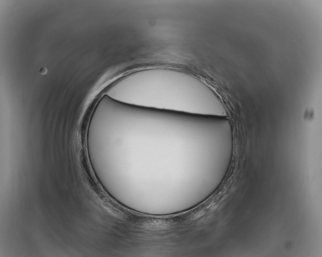 X0000097470198200802220837
