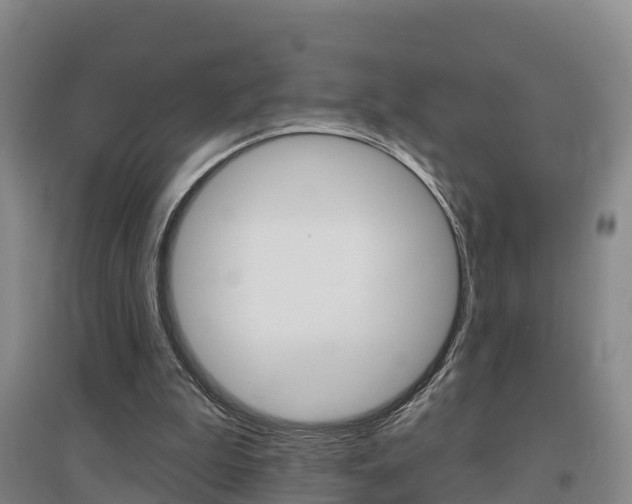 X0000097470199200802220837