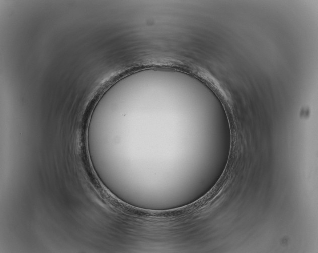 X0000097470203200802220837
