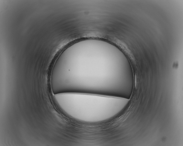 X0000097470204200802220837
