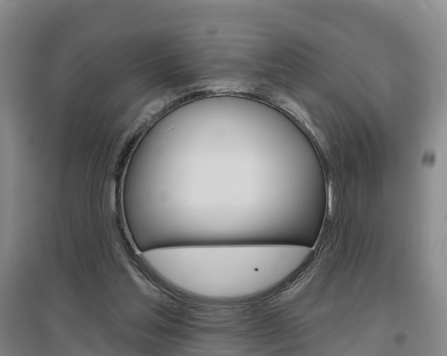 X0000097470205200802220837