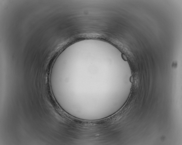 X0000097470206200802220836