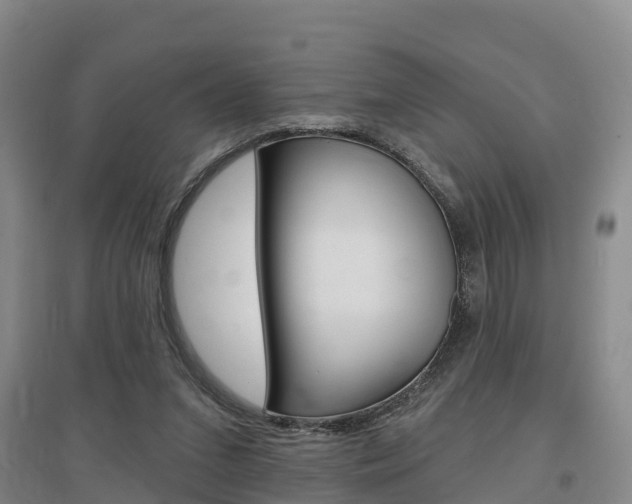 X0000097470207200802220836