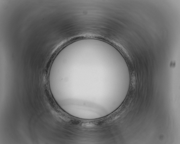 X0000097470208200802220836