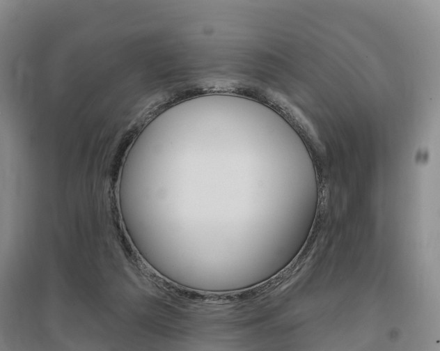 X0000097470209200802220836