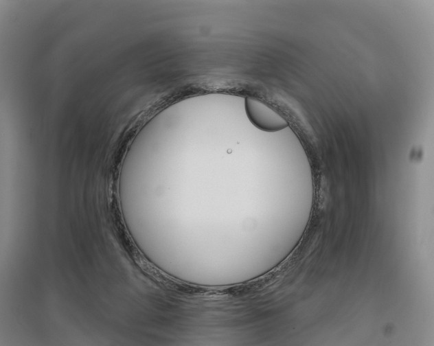 X0000097470210200802220836