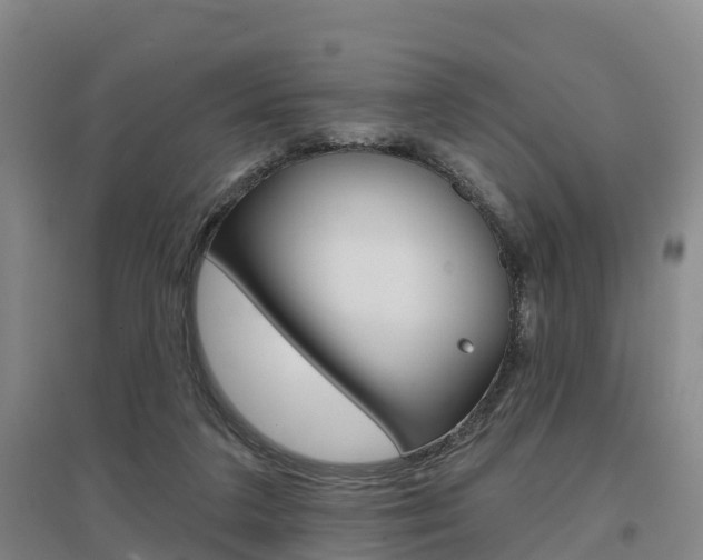 X0000097470211200802220836