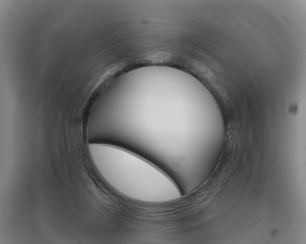X0000097470212200802220836