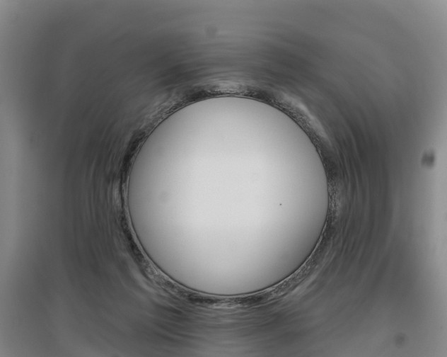 X0000097470213200802220836