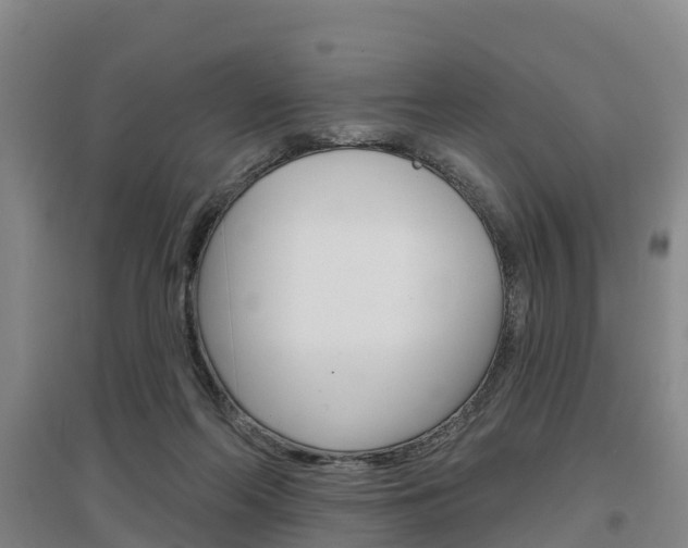 X0000097470214200802220836