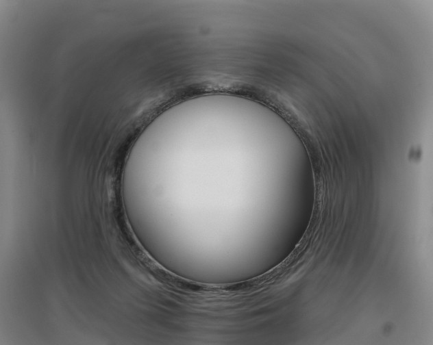 X0000097470215200802220836