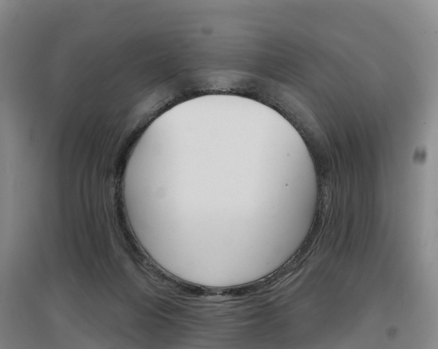 X0000097470216200802220836