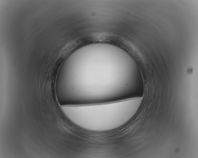 X0000097470217200802220836