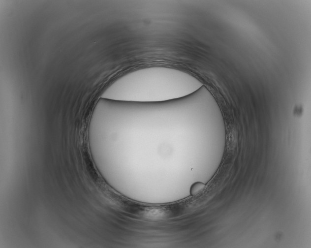 X0000097470218200802220836