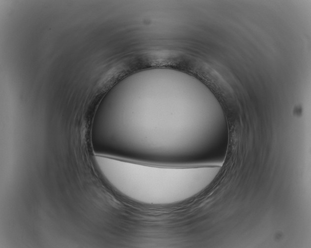 X0000097470219200802220836