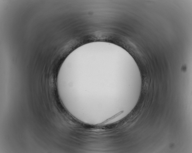 X0000097470220200802220836