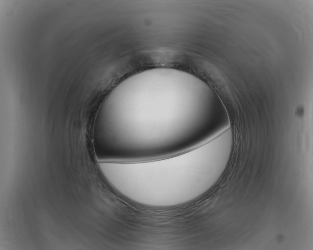 X0000097470221200802220836