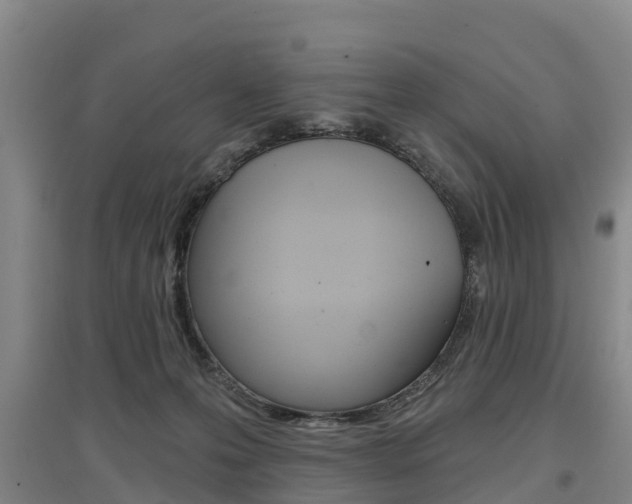 X0000097470223200802220836