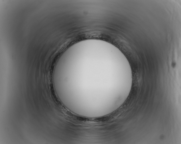 X0000097470224200802220836
