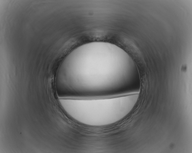 X0000097470225200802220836