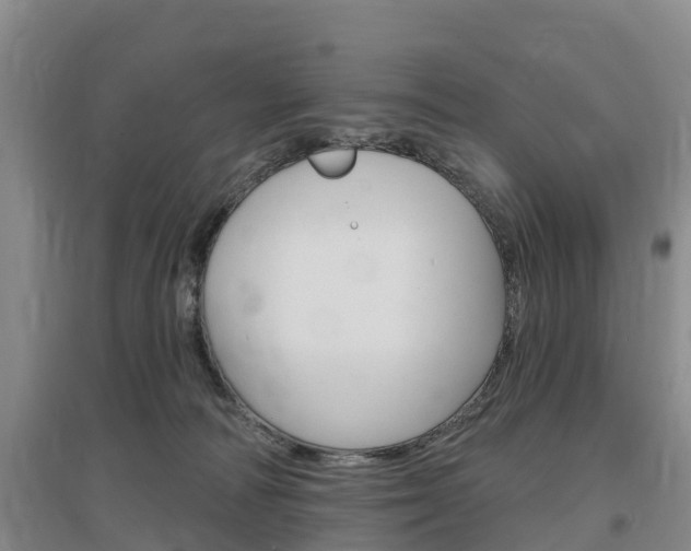 X0000097470226200802220836