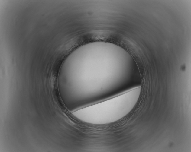 X0000097470227200802220836