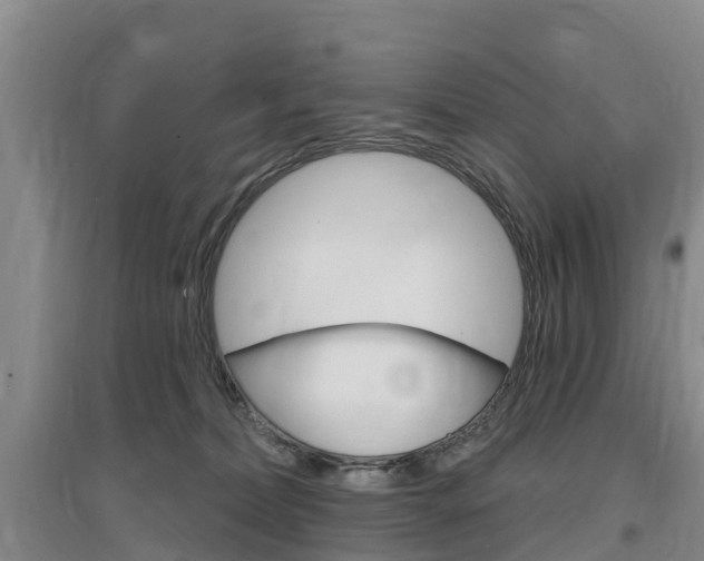 X0000097470228200802220836