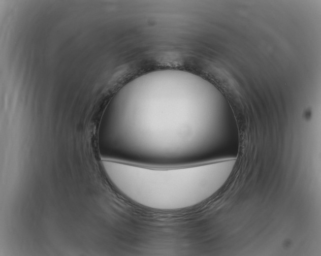 X0000097470229200802220836