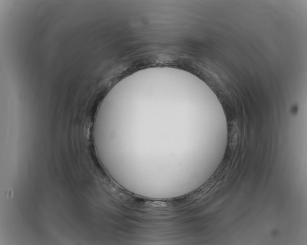 X0000097470230200802220836