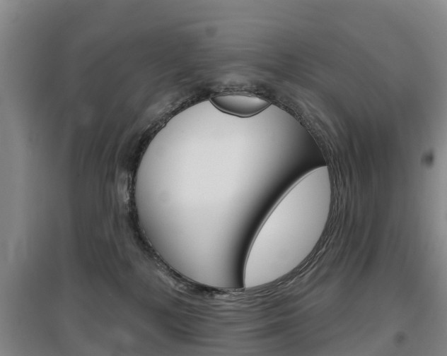 X0000097470232200802220836