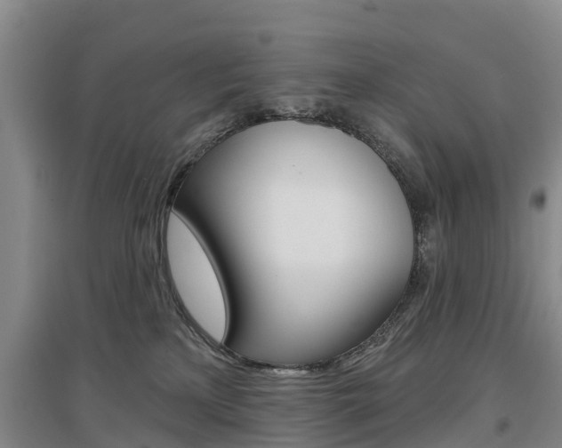 X0000097470233200802220836