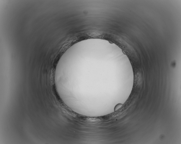 X0000097470234200802220836