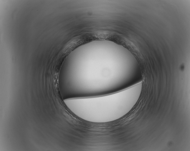 X0000097470237200802220836